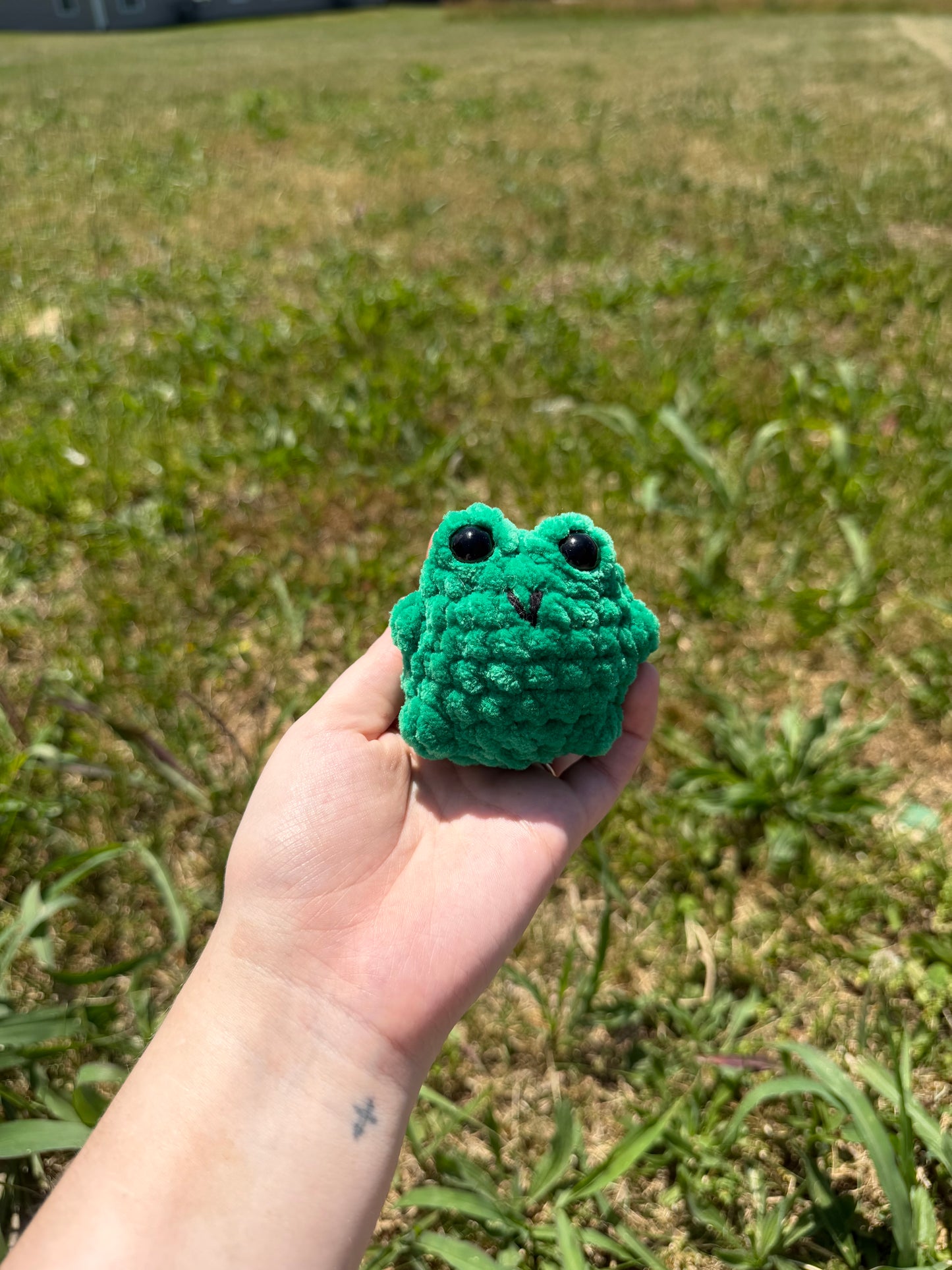Chubby Frogs