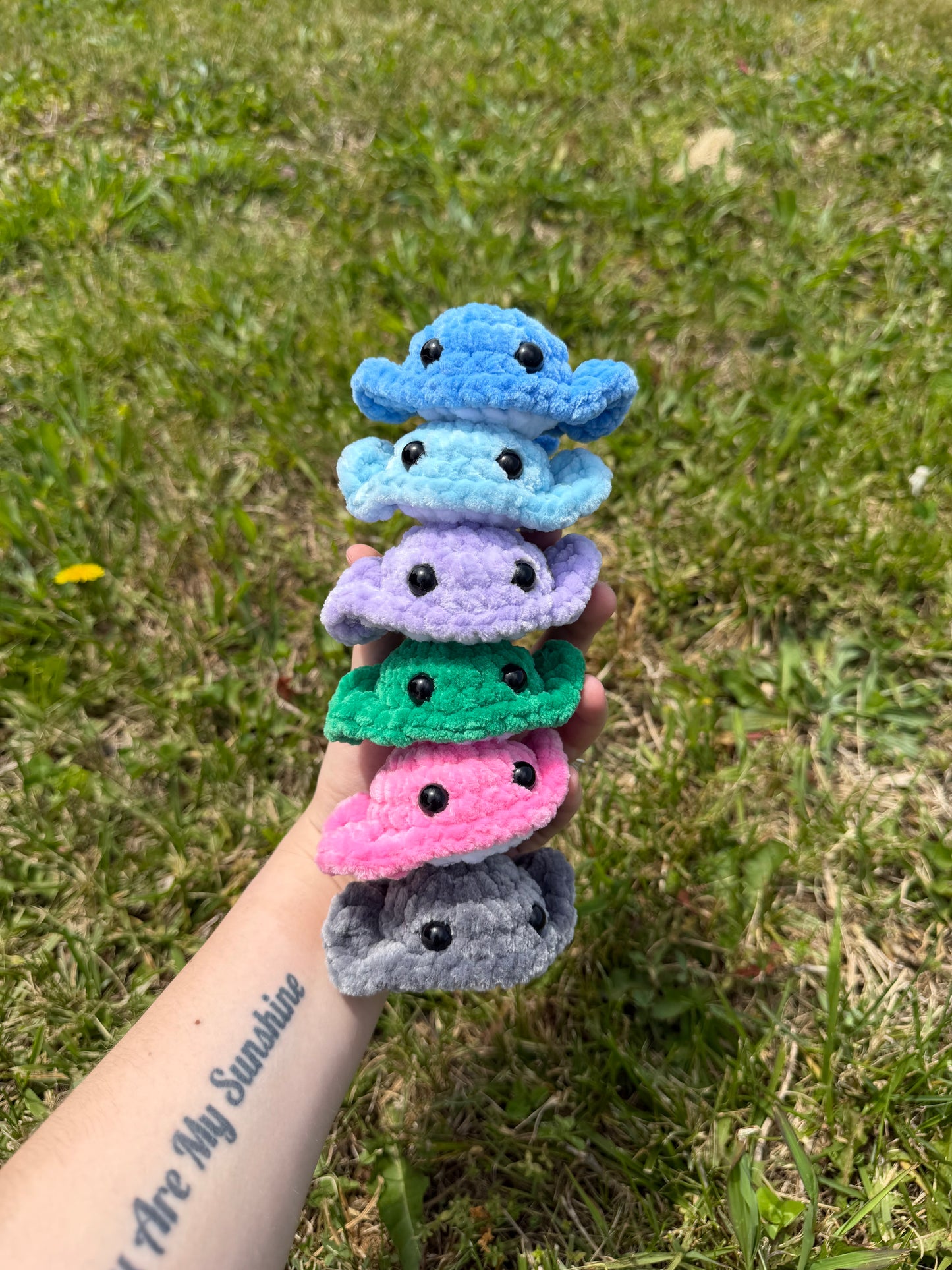 Mini Stingray