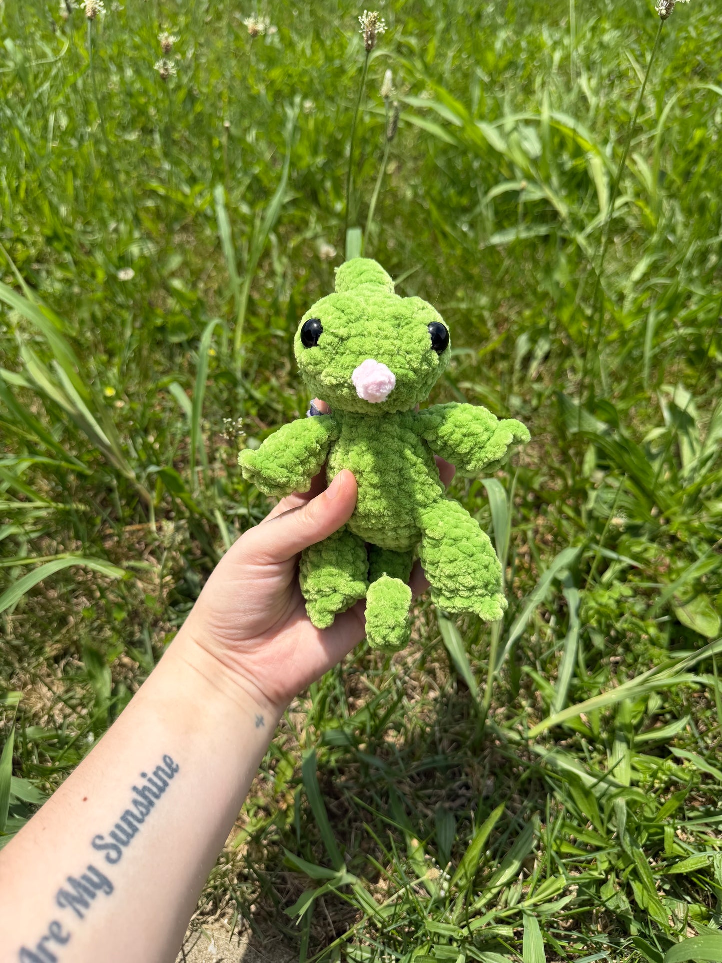 Chameleon
