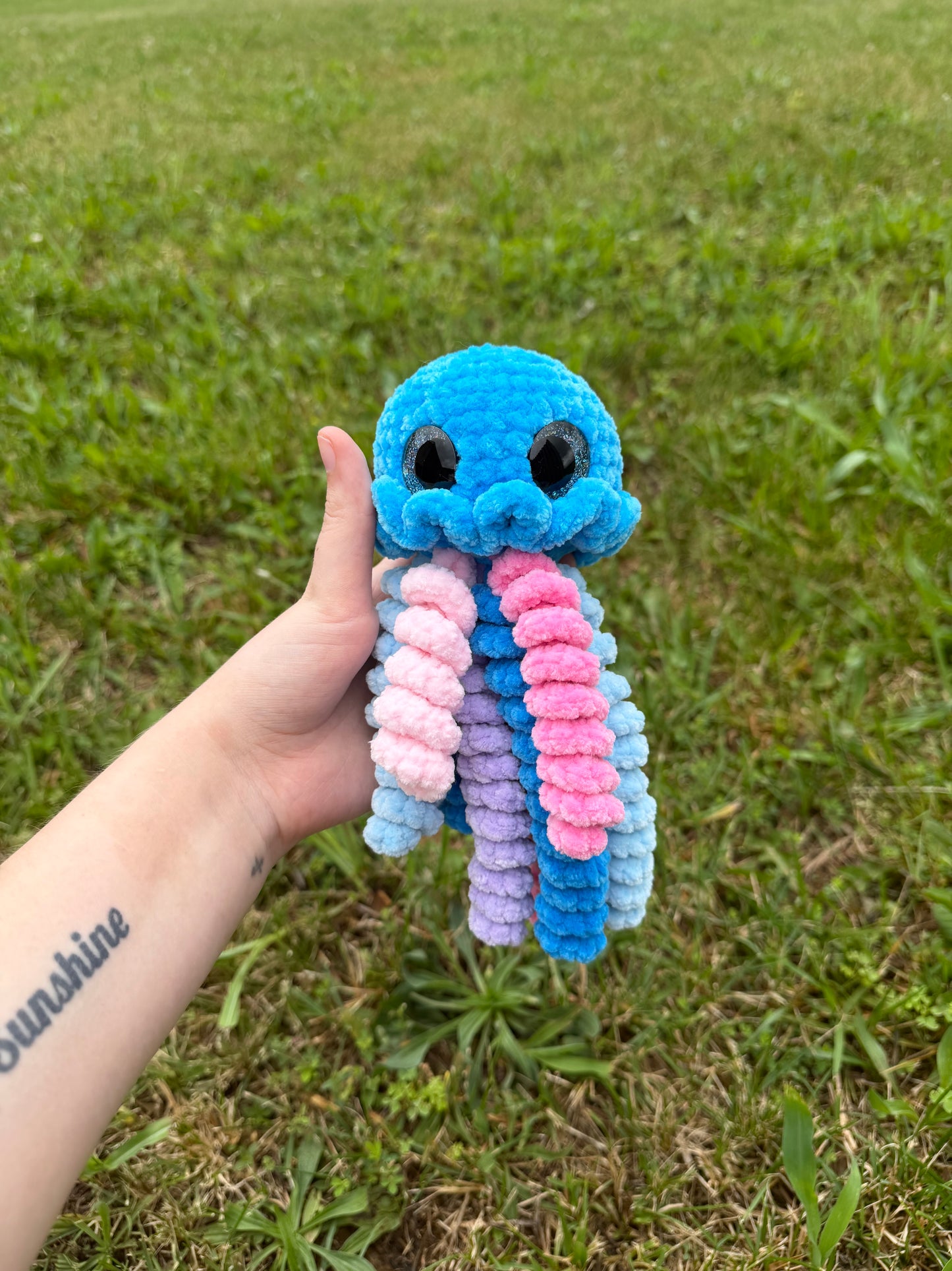 Jellyfish