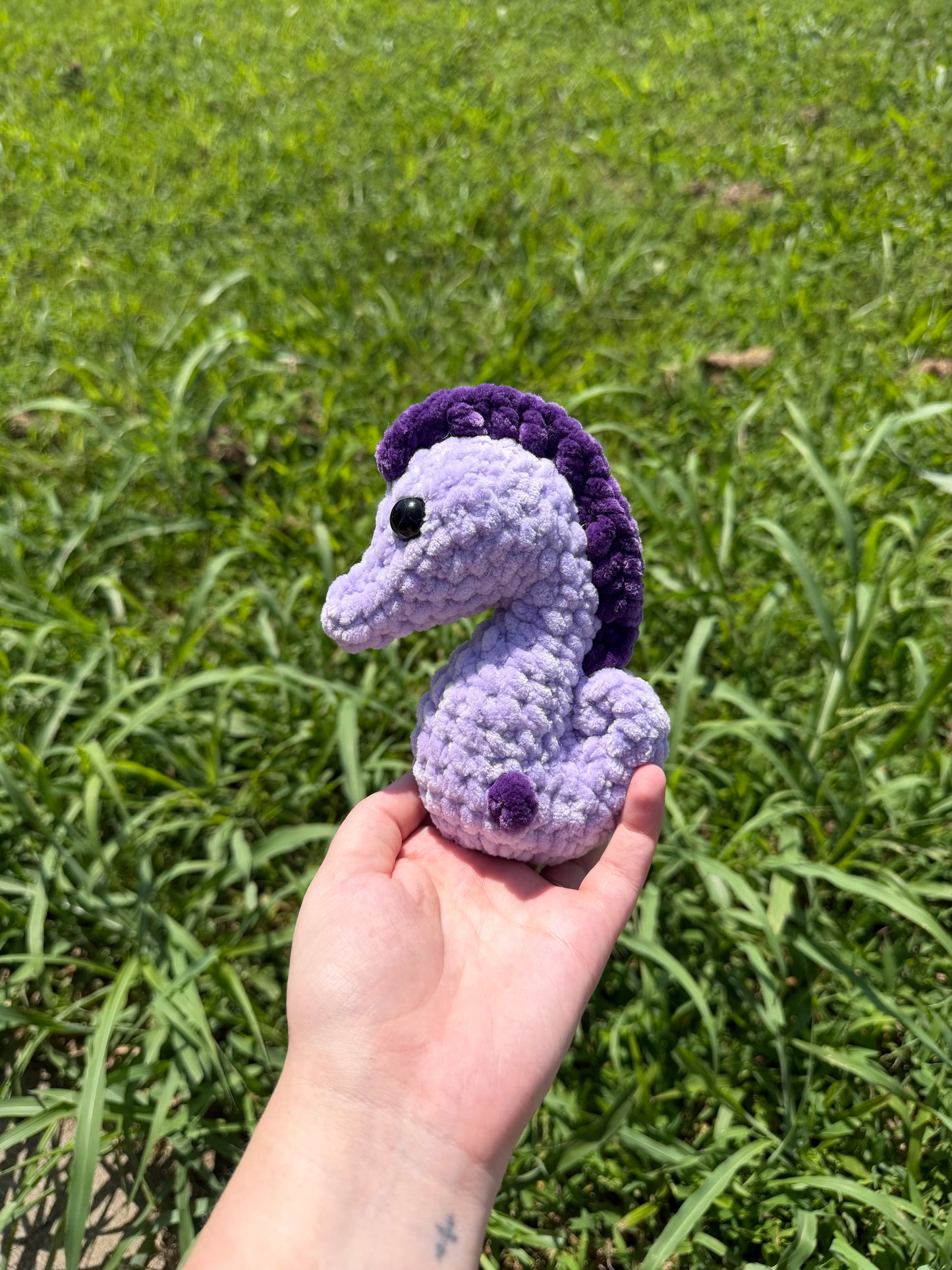 Seahorse