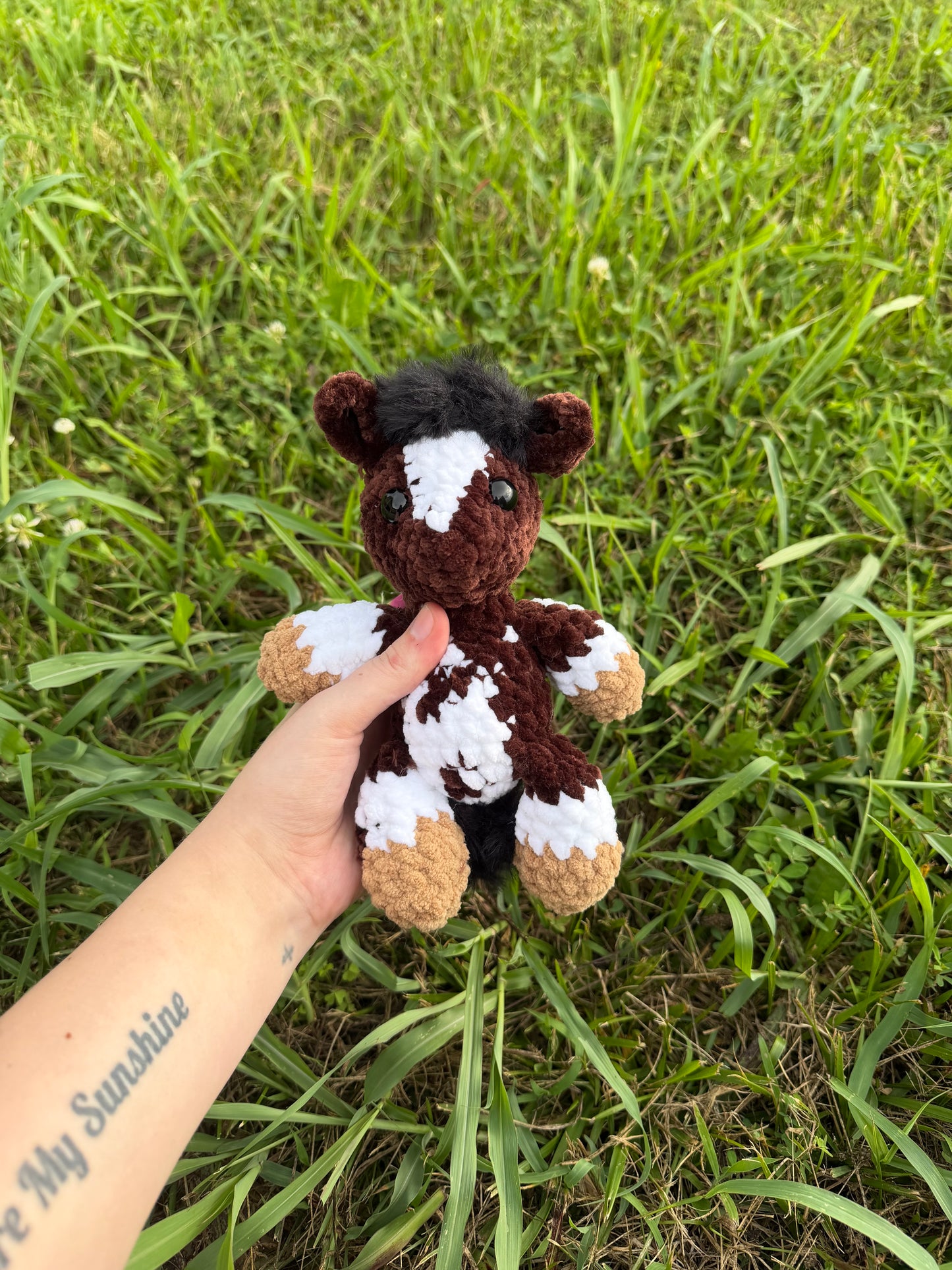 Horse