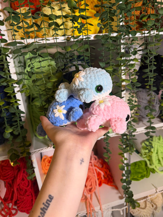 Daisy Whale