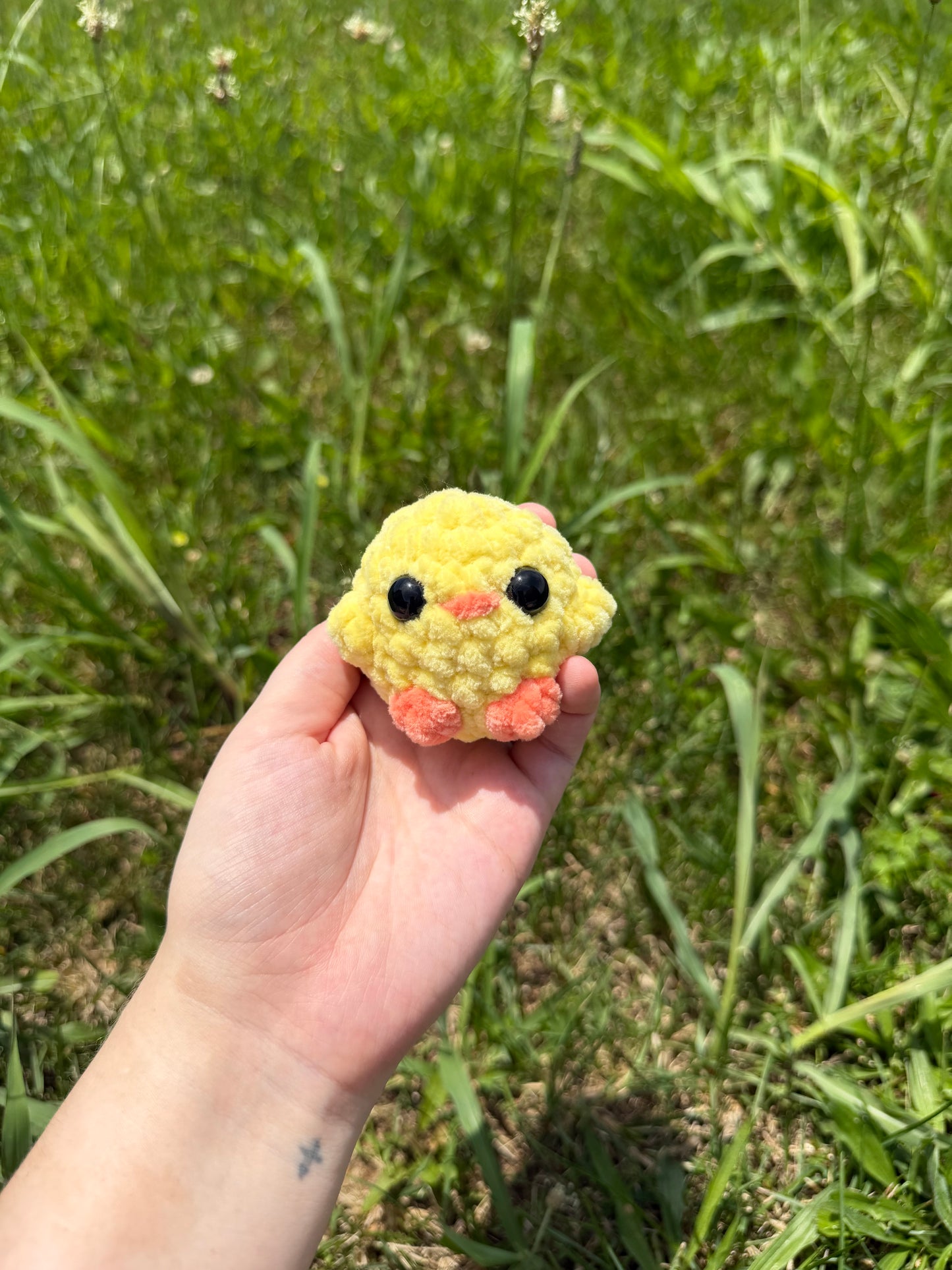 Mini Chicks