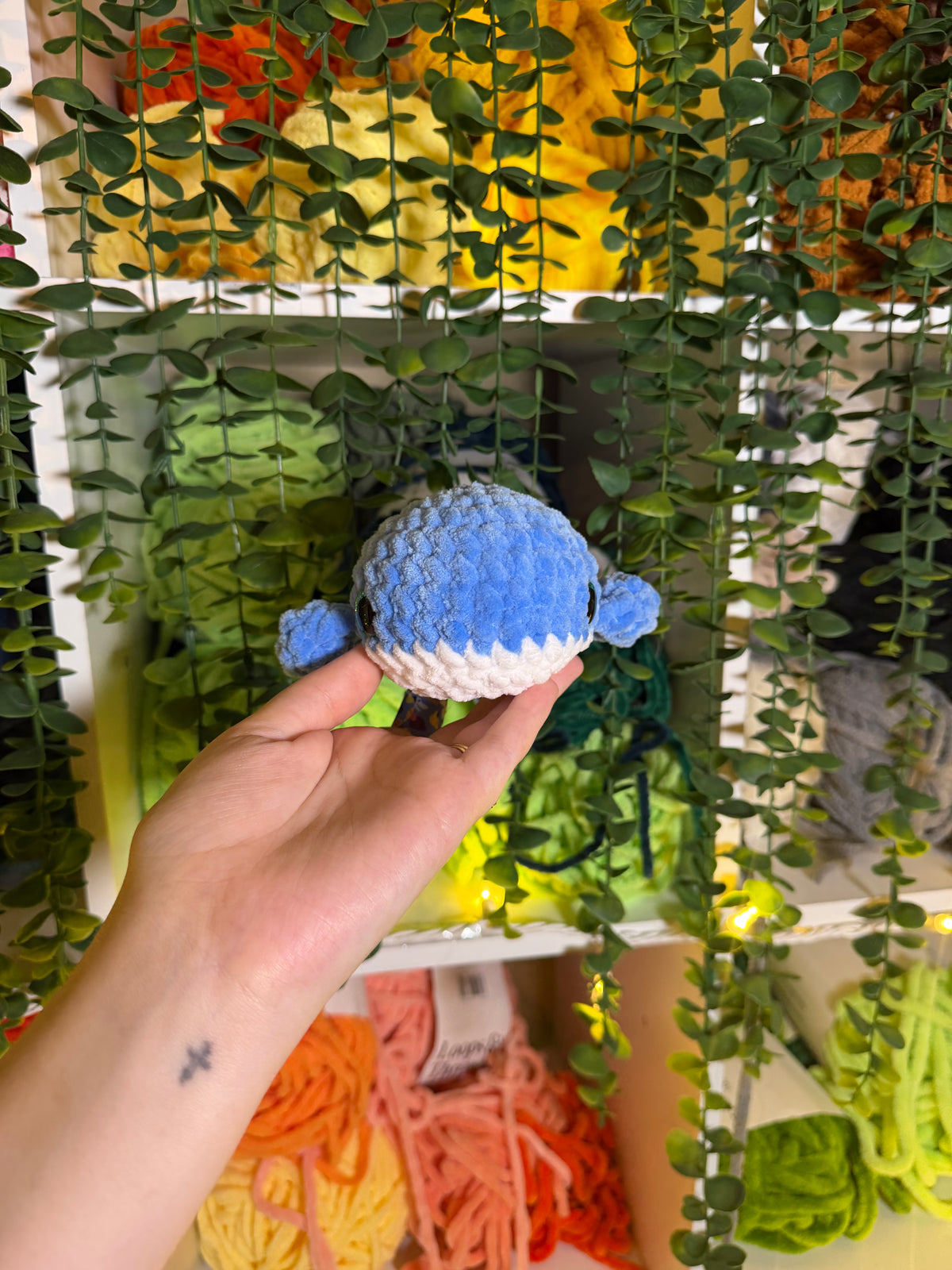 Daisy Whale