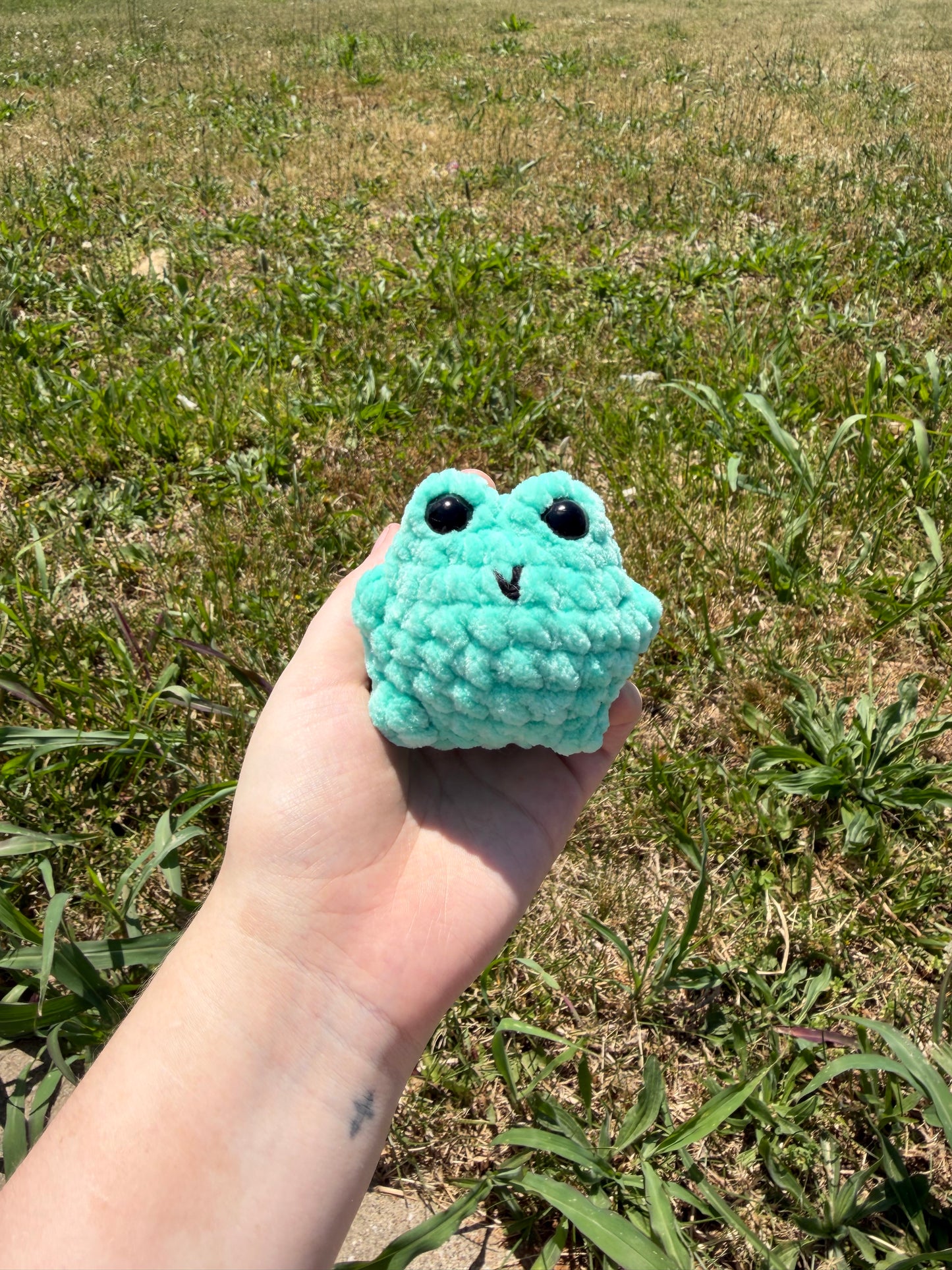 Chubby Frogs