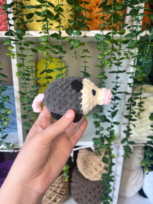 Possum