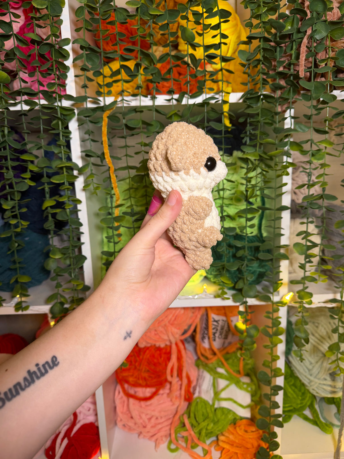 Mini Otter