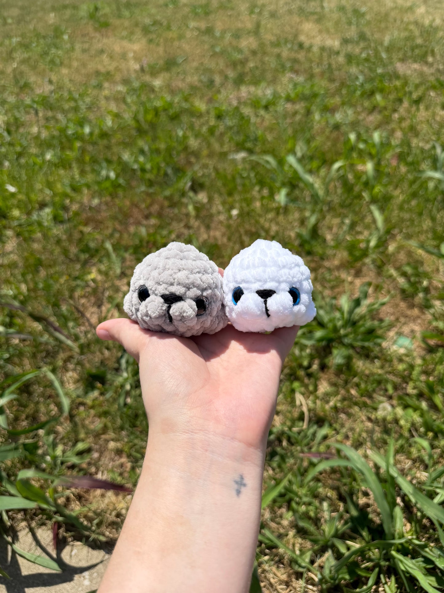 Mini Seals