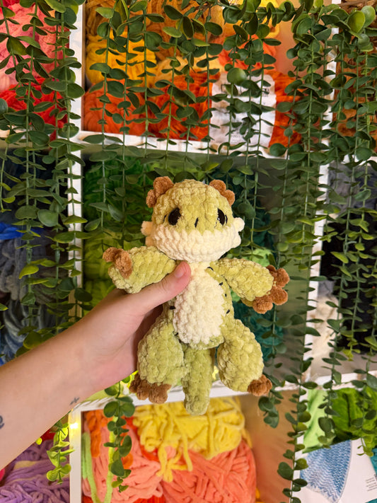 Kiwi Bearded Dragon