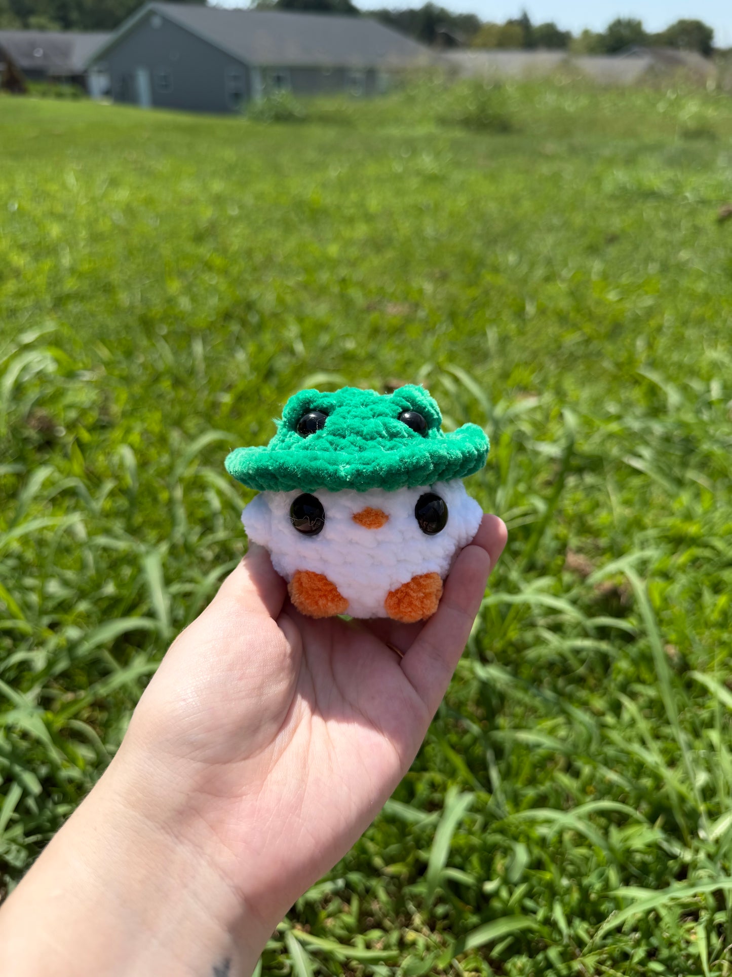 Chicks in Frog Hats
