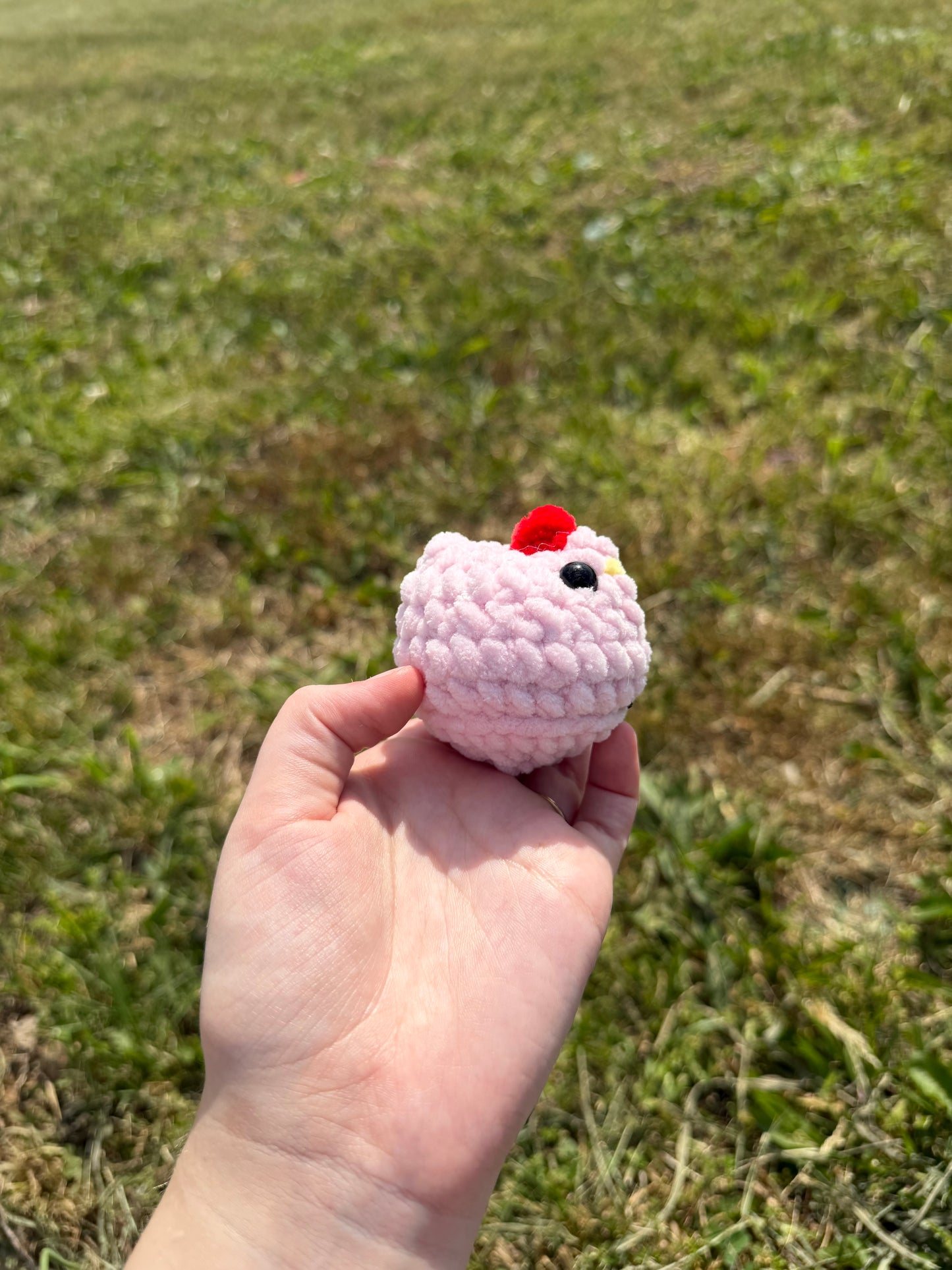 Mini Chickens
