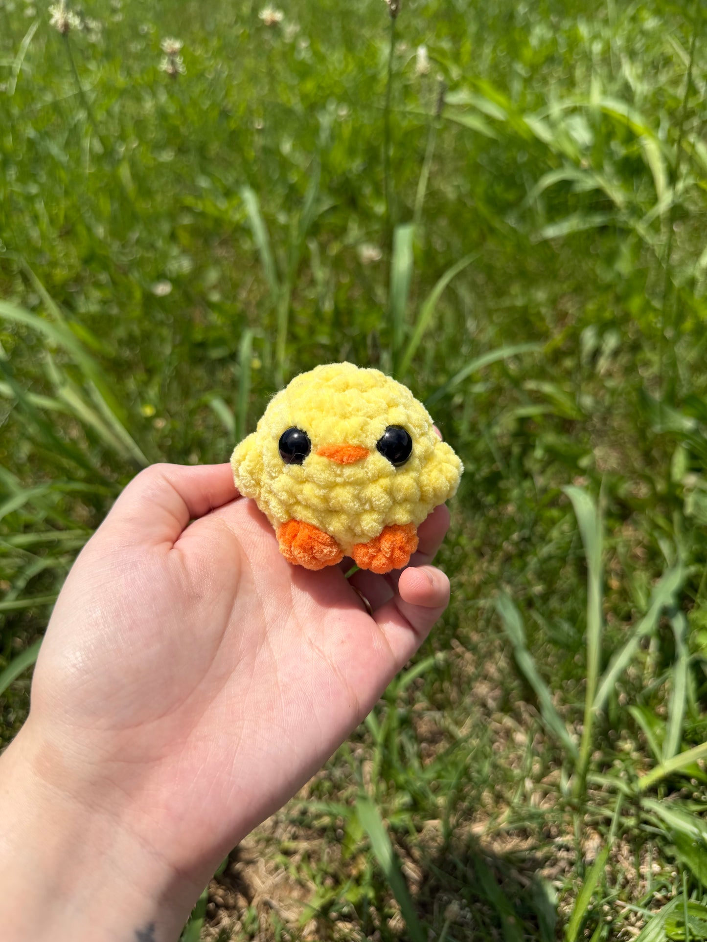 Mini Chicks