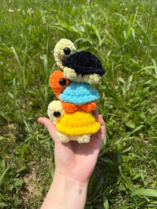 Medium Sized Turtles