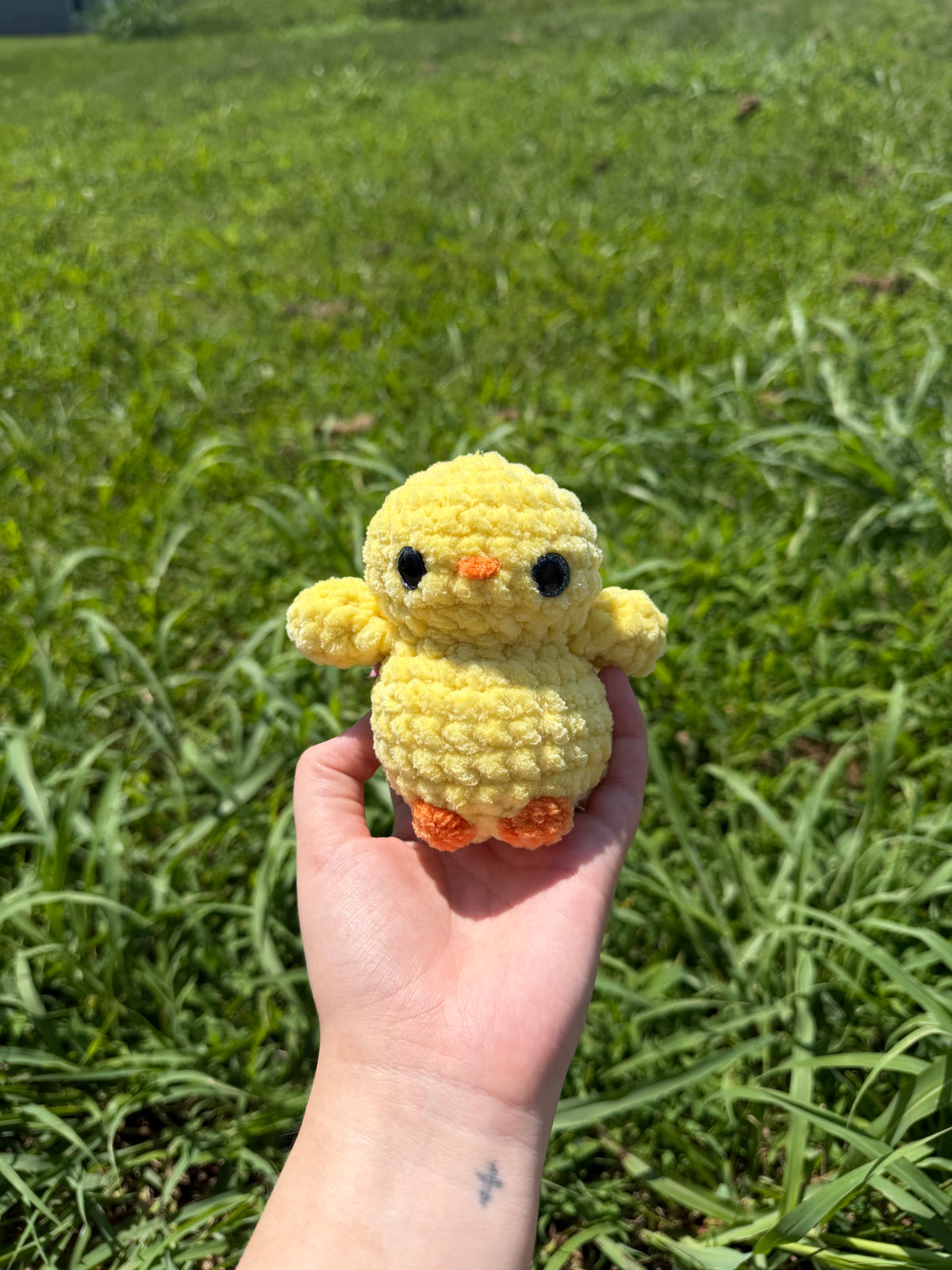 Baby Duck