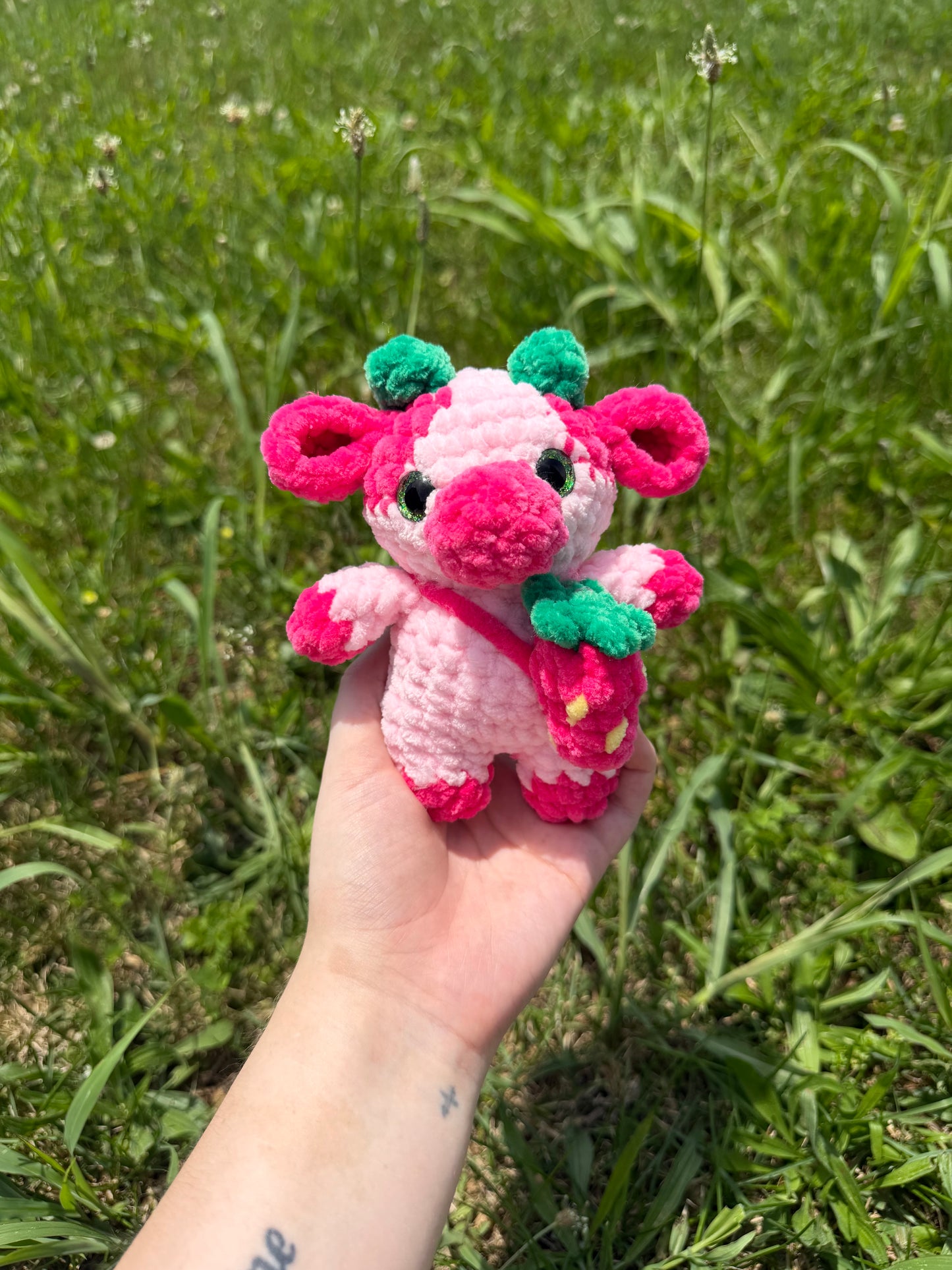 Baby Cows