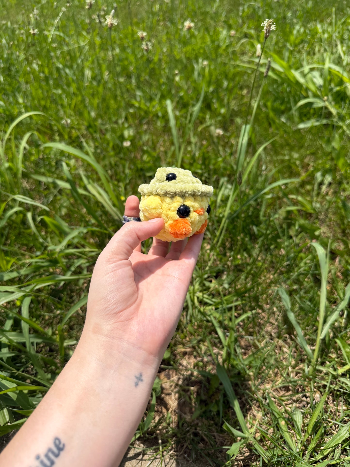 Mini Chicks in Frog Hats