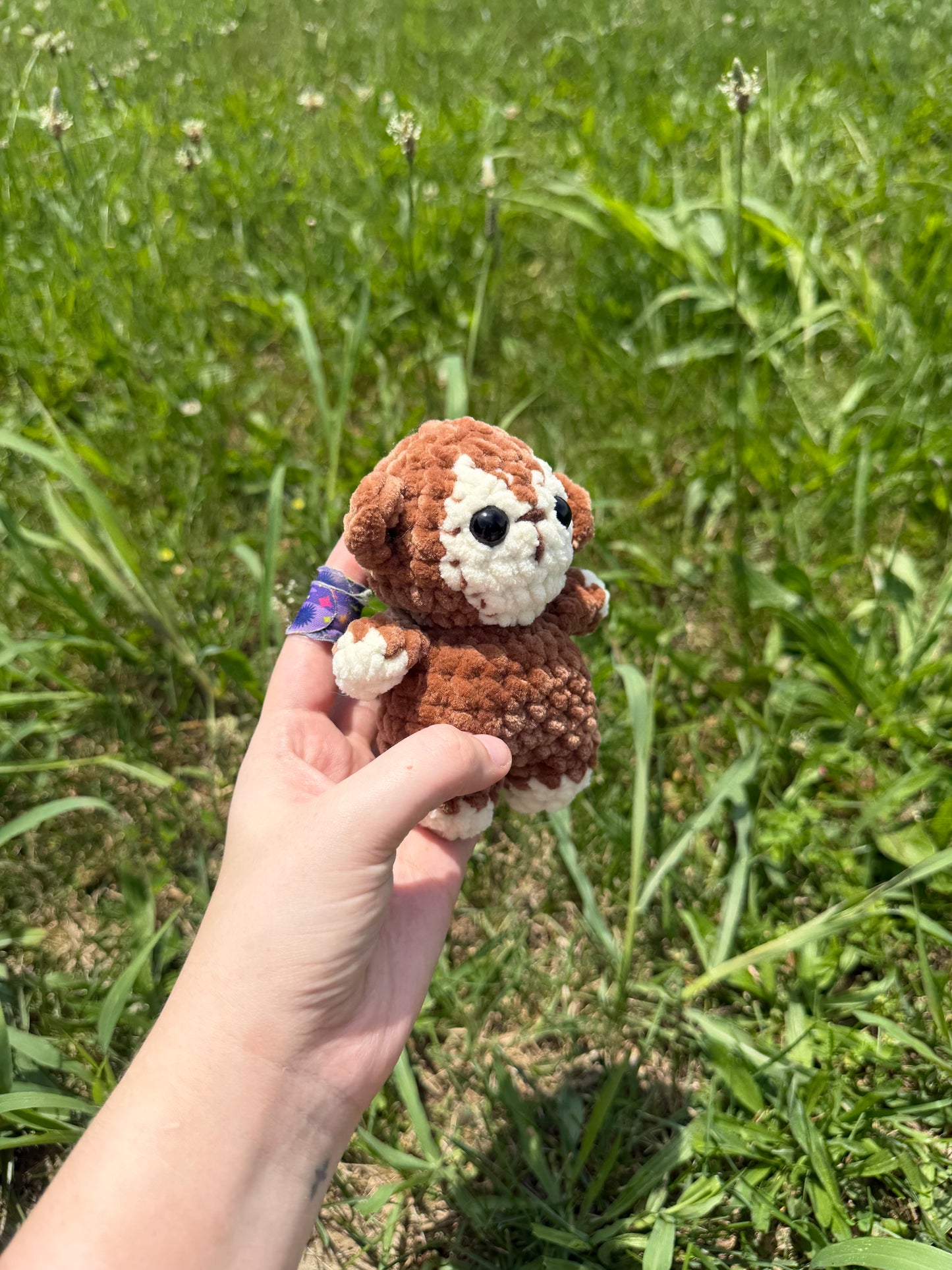 Mini Monkey