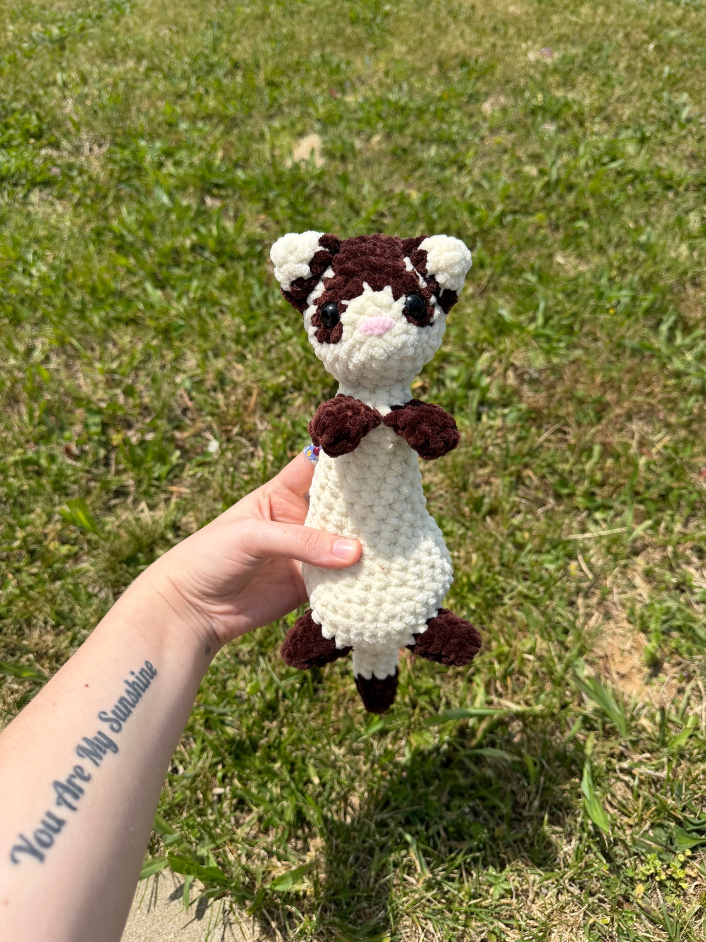 Ferret