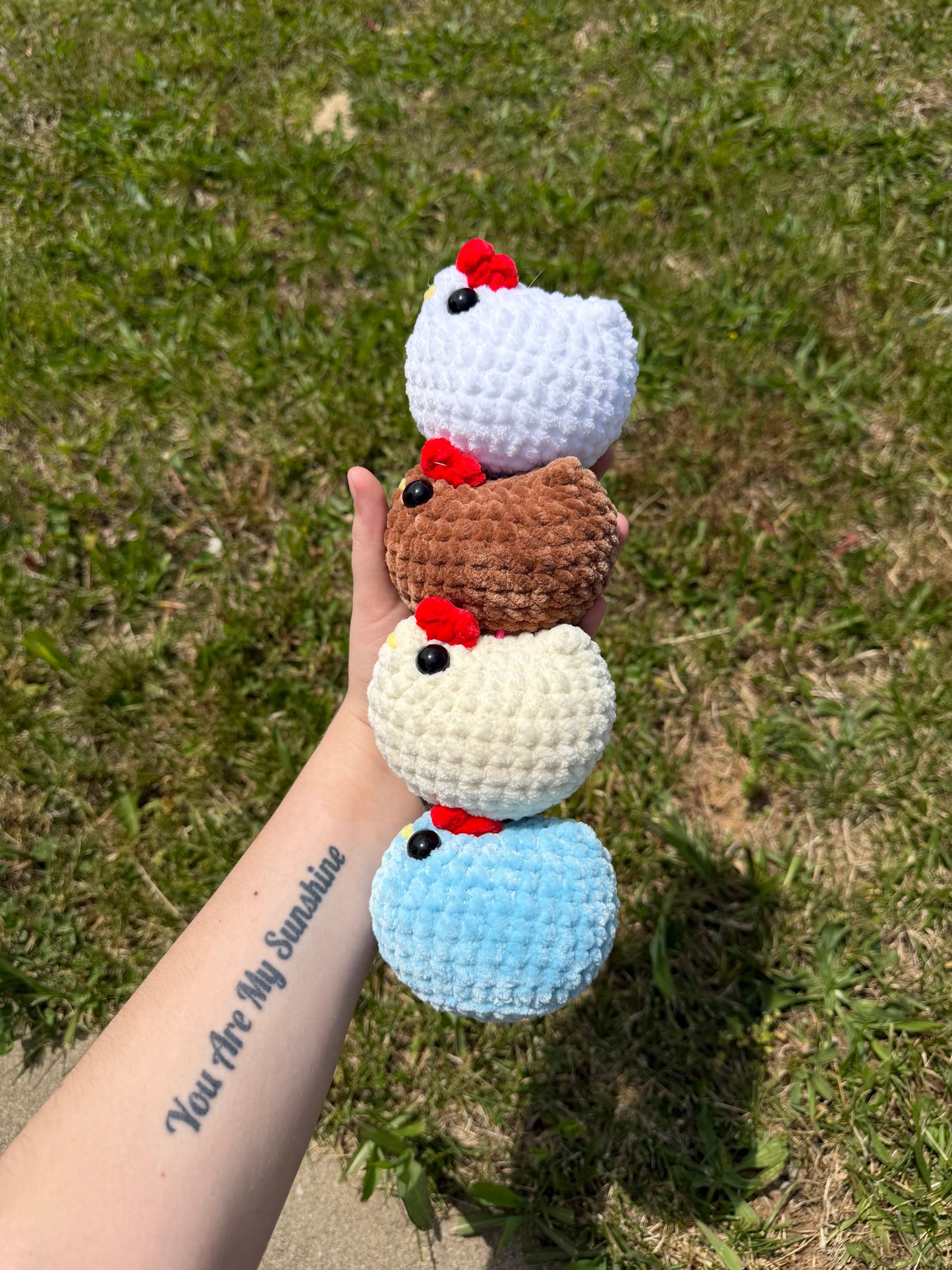 Chickens