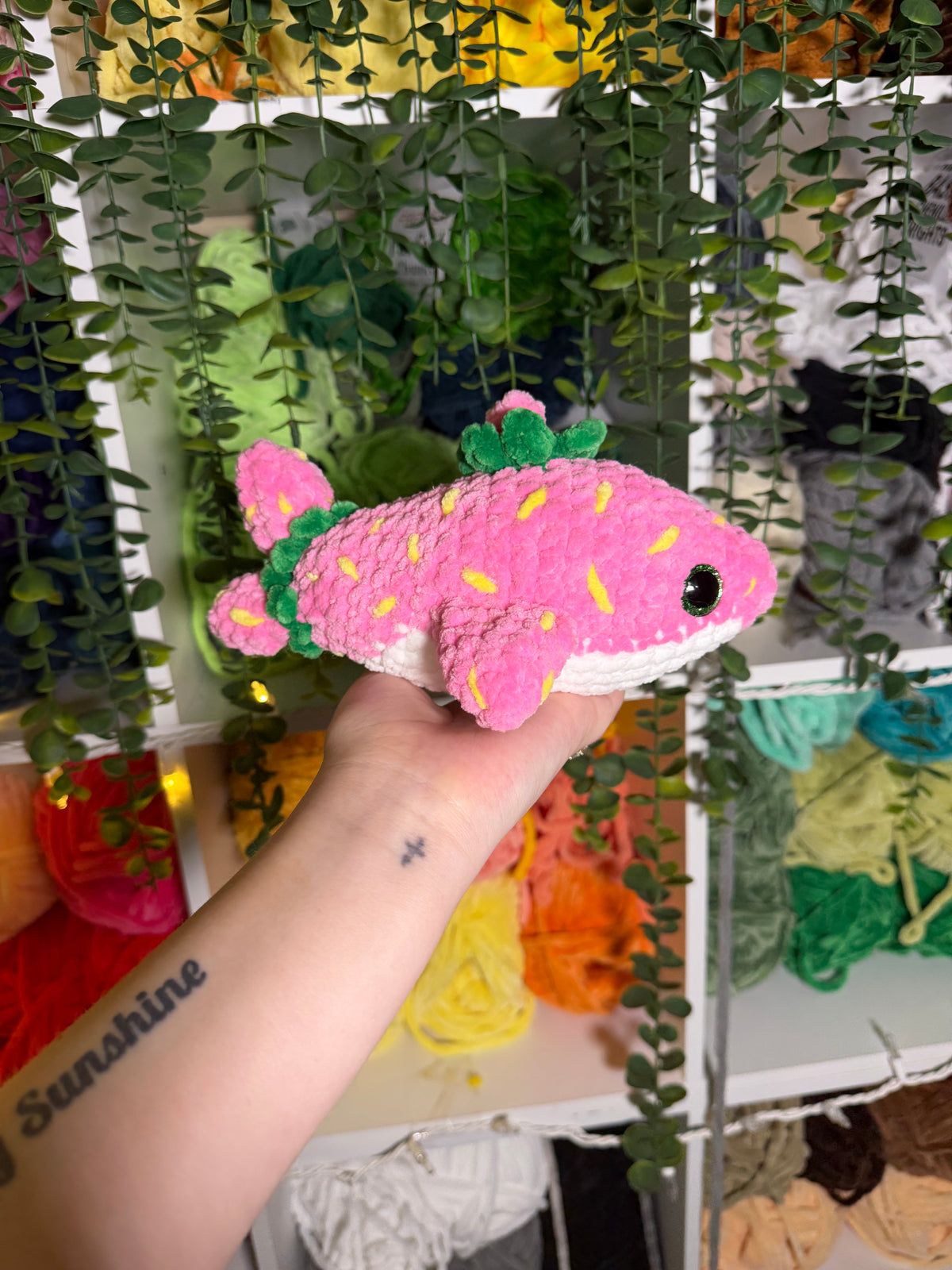 Strawberry Shark